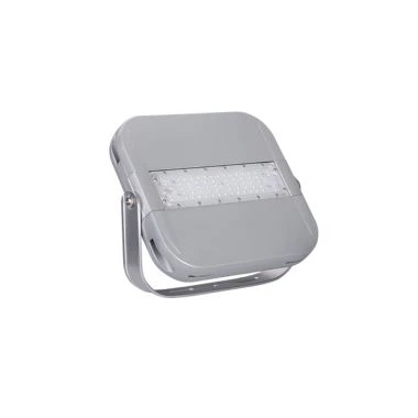 50w IP66 āra gaismas plūdi